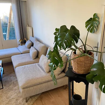 Le Tournesol Apartment Lille Exterior photo